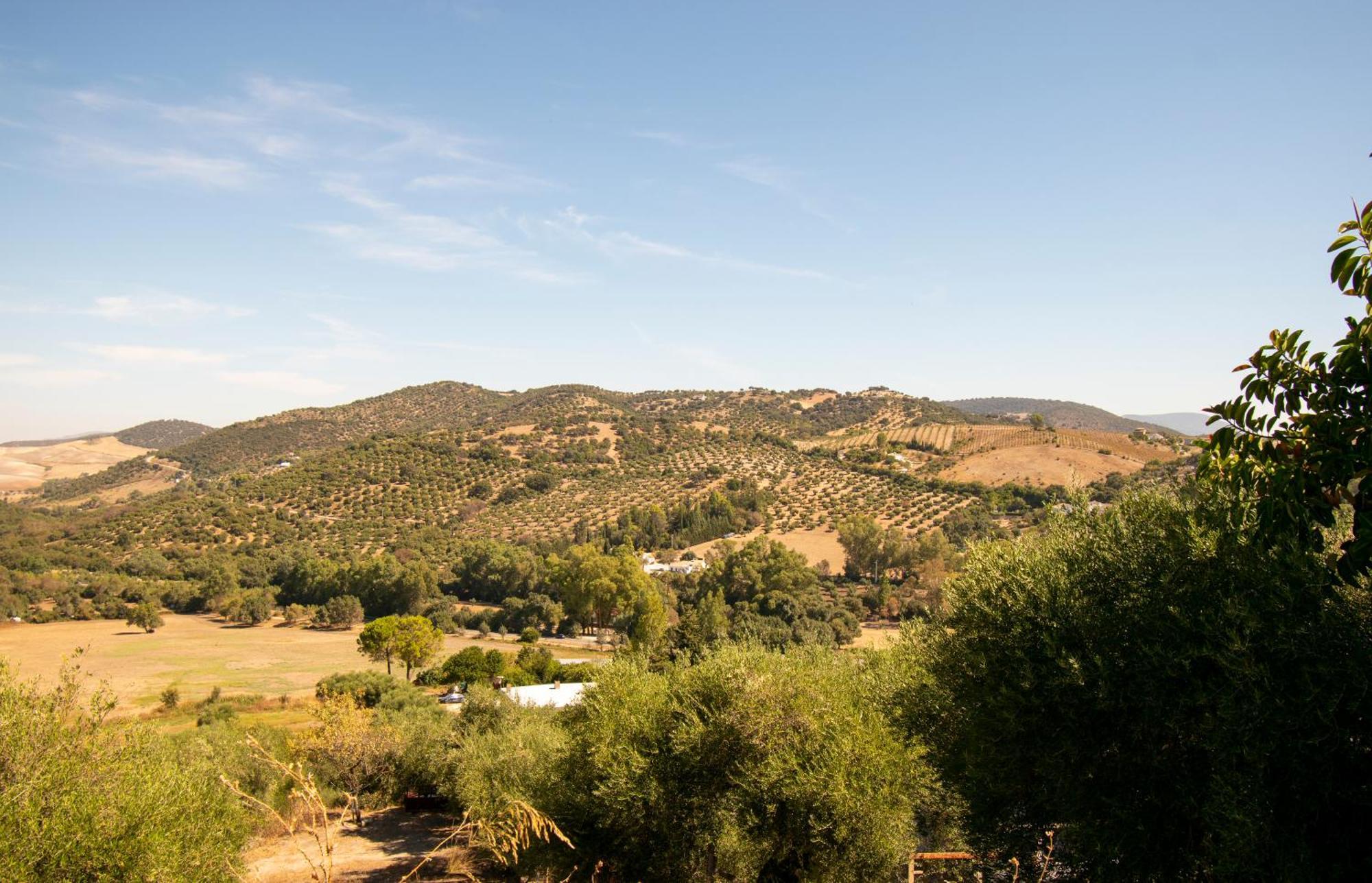 Casa Rural El Carmen Prado Del Rey Eksteriør billede