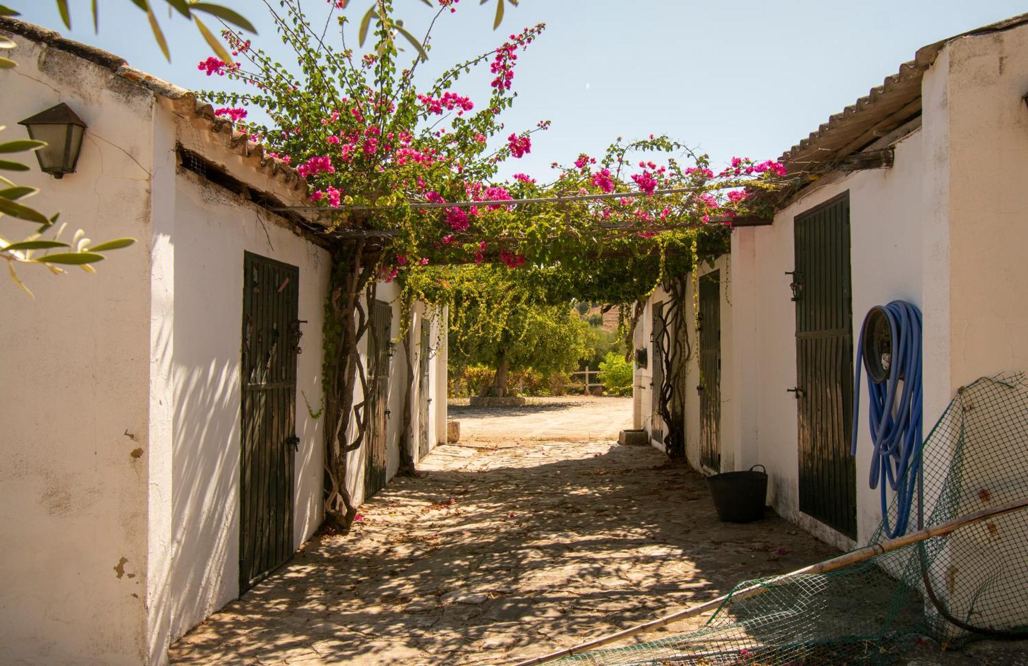 Casa Rural El Carmen Prado Del Rey Eksteriør billede